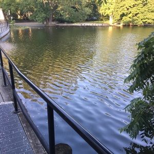 Meet your Posher, Winnie